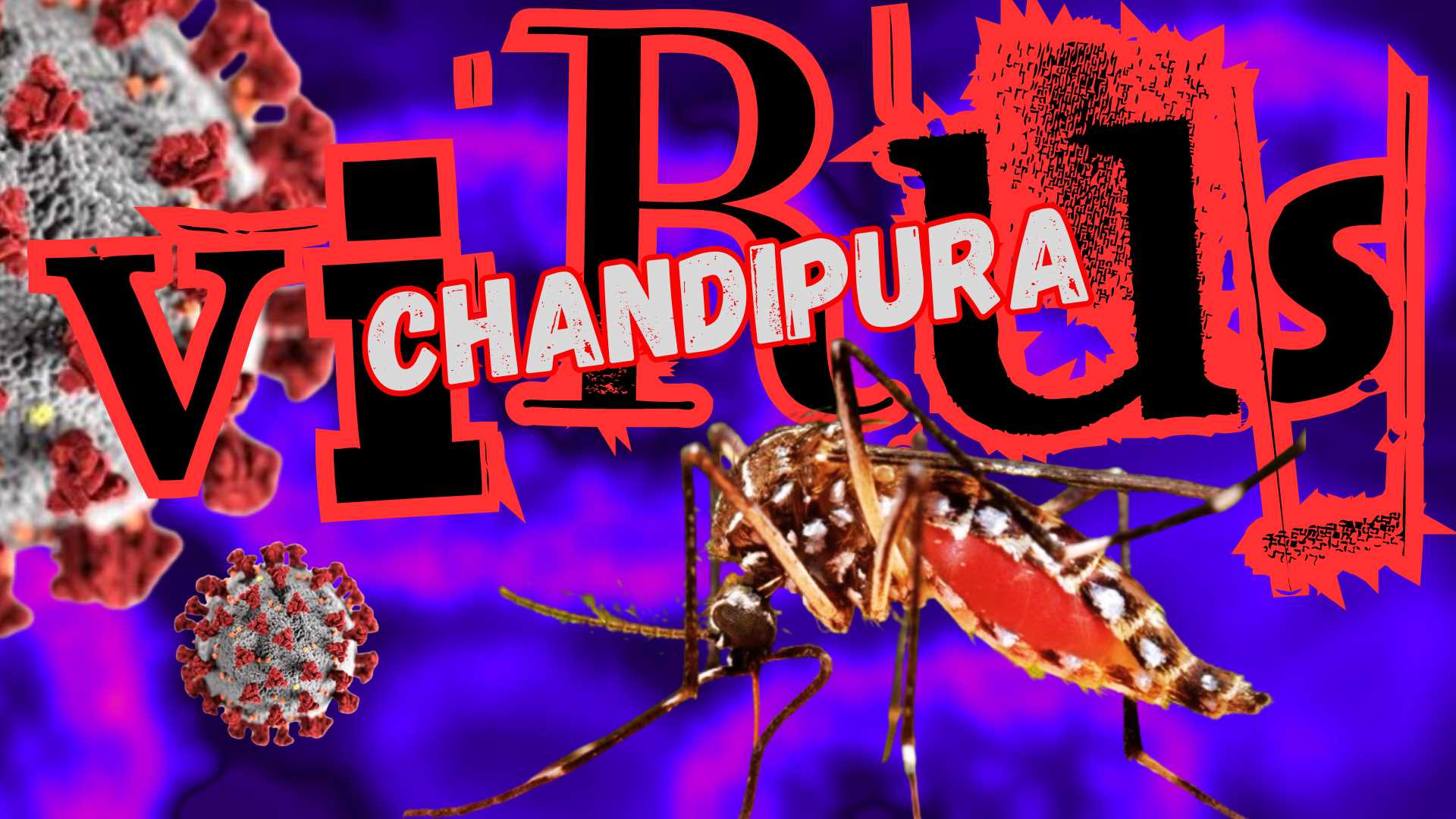 chandipura virus image